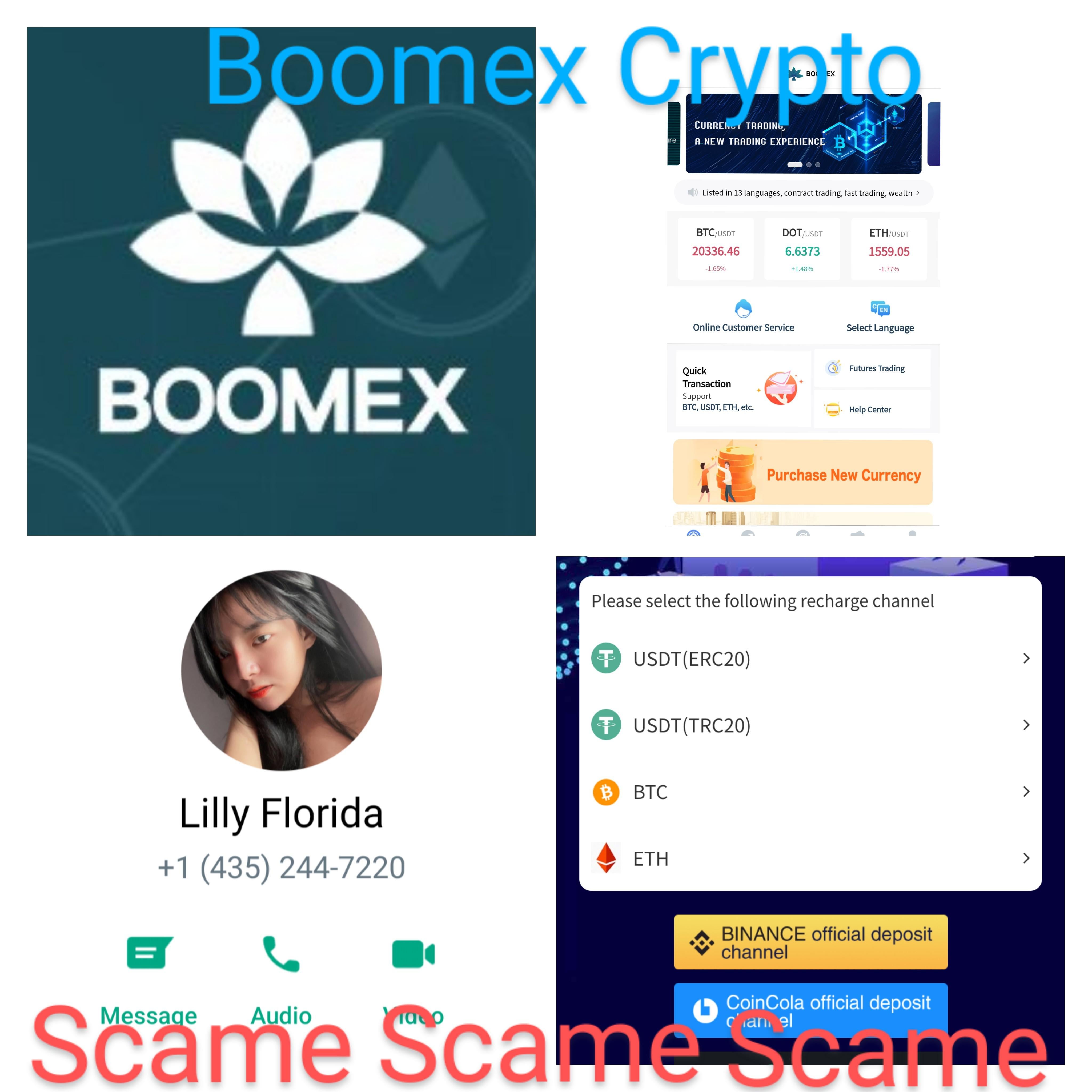 boomex crypto